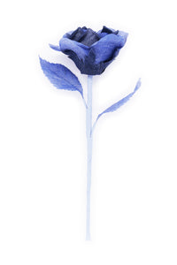 ギャラリービューアに画像を読み込む,  THE FLWRS ORIGINAL ROSE
