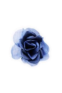 ギャラリービューアに画像を読み込む,  THE FLWRS ORIGINAL ROSE
