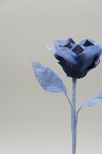 ギャラリービューアに画像を読み込む,  THE FLWRS ORIGINAL ROSE
