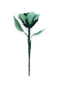 ギャラリービューアに画像を読み込む,  THE FLWRS ORIGINAL ROSE
