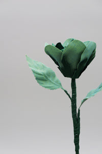 ギャラリービューアに画像を読み込む,  THE FLWRS ORIGINAL ROSE
