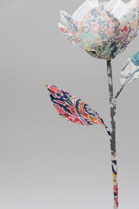 ギャラリービューアに画像を読み込む,  THE FLWRS ORIGINAL ROSE
