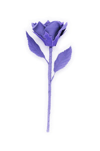 ギャラリービューアに画像を読み込む,  THE FLWRS ORIGINAL ROSE
