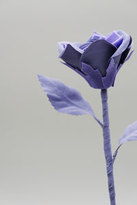 ギャラリービューアに画像を読み込む,  THE FLWRS ORIGINAL ROSE
