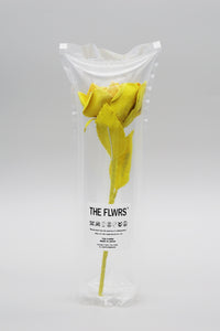 ギャラリービューアに画像を読み込む,  THE FLWRS ORIGINAL ROSE
