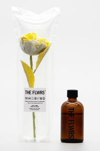 ギャラリービューアに画像を読み込む,  THE FLWRS Mother's Day　DiffuserSET
