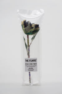 ギャラリービューアに画像を読み込む,  THE FLWRS × KEITA MARUYAMA
