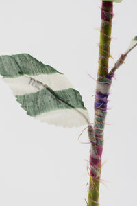 ギャラリービューアに画像を読み込む,  THE FLWRS × KEITA MARUYAMA
