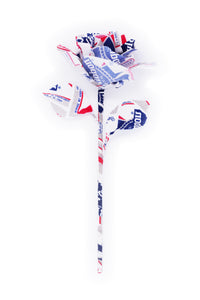 ギャラリービューアに画像を読み込む,  BEDWIN &amp; THE HEARTBREAKERS Pabst blue ribbon
