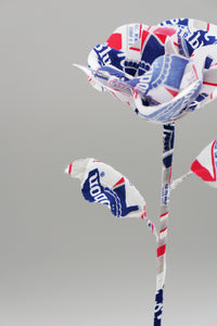 ギャラリービューアに画像を読み込む,  BEDWIN &amp; THE HEARTBREAKERS Pabst blue ribbon
