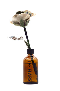 ギャラリービューアに画像を読み込む,  Diffuser
