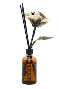 ギャラリービューアに画像を読み込む,  Diffuser
