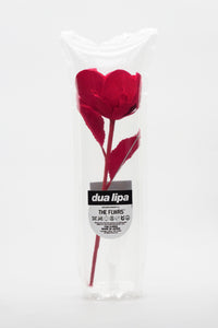 ギャラリービューアに画像を読み込む,  THE FLWRS x  Dua Lipa
