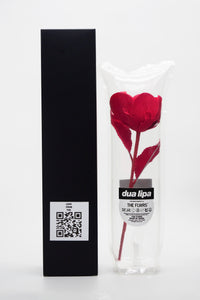 ギャラリービューアに画像を読み込む,  THE FLWRS x  Dua Lipa
