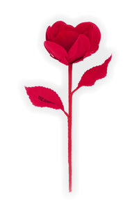 ギャラリービューアに画像を読み込む,  THE FLWRS x  Dua Lipa
