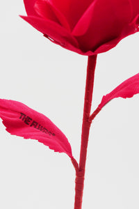 ギャラリービューアに画像を読み込む,  THE FLWRS x  Dua Lipa
