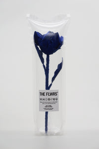 ギャラリービューアに画像を読み込む,  THE FLWRS × LACOSTE
