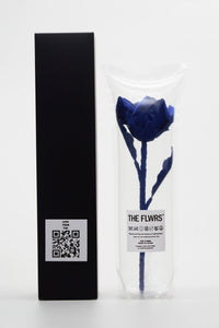 ギャラリービューアに画像を読み込む,  THE FLWRS × LACOSTE
