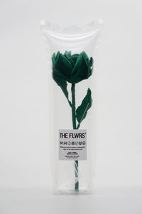 ギャラリービューアに画像を読み込む,  THE FLWRS × LACOSTE
