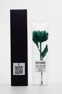 ギャラリービューアに画像を読み込む,  THE FLWRS × LACOSTE
