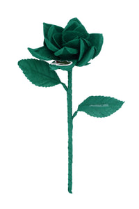 ギャラリービューアに画像を読み込む,  THE FLWRS × LACOSTE
