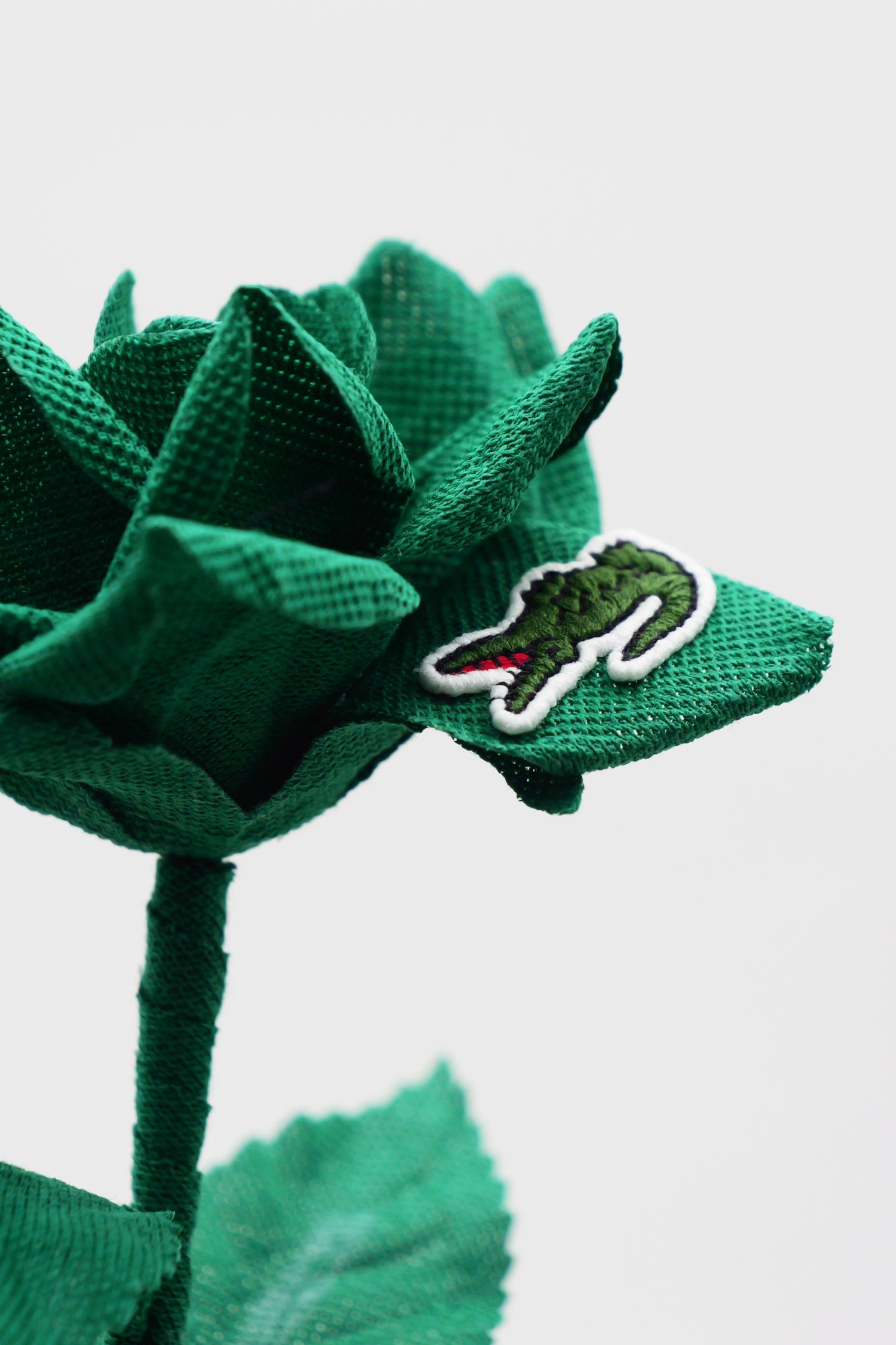 ラコステ祭り、フレラコ、フレンチラコステ、LACOSTE、ラルフローレン ラコステ祭り、フレラコ、フレンチラコステ、LACOSTE、ラルフ