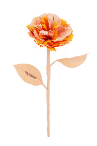 ギャラリービューアに画像を読み込む,  THE FLWRS Mother&#39;s Day
