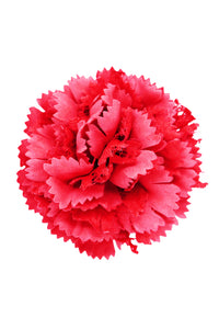 ギャラリービューアに画像を読み込む,  THE FLWRS Mother&#39;s Day
