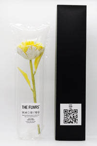 ギャラリービューアに画像を読み込む,  THE FLWRS Mother&#39;s Day
