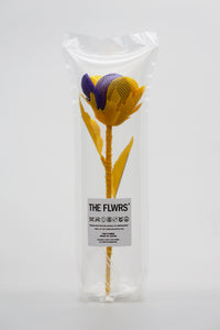 ギャラリービューアに画像を読み込む,  THE FLWRS Sports Jersey
