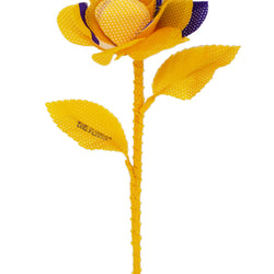 THE FLWRS Sports Jersey