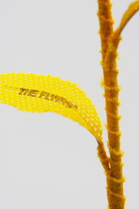 ギャラリービューアに画像を読み込む,  THE FLWRS Sports Jersey
