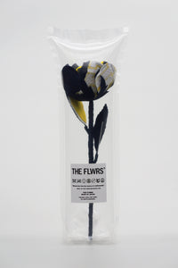 ギャラリービューアに画像を読み込む,  THE FLWRS Sports Jersey
