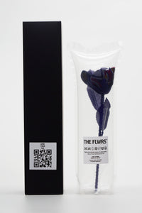 ギャラリービューアに画像を読み込む,  THE FLWRS Sports Jersey
