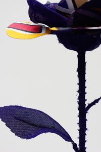 ギャラリービューアに画像を読み込む,  THE FLWRS Sports Jersey
