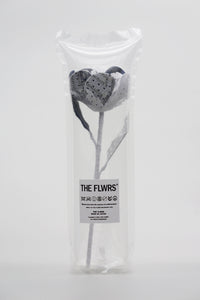 ギャラリービューアに画像を読み込む,  THE FLWRS Sports Jersey
