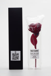 ギャラリービューアに画像を読み込む,  THE FLWRS Sports Jersey
