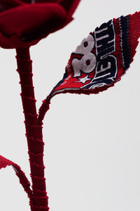 ギャラリービューアに画像を読み込む,  THE FLWRS Sports Jersey
